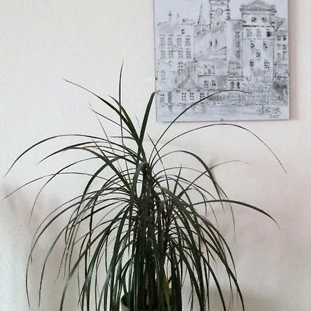 Apartmán Kousek Do Přírody I Do Centra *